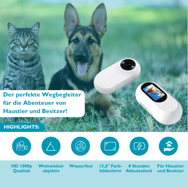 PetView360 I HD-Kamera-Halsband für dein Haustier